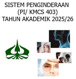 MODUL CS SISTEM PENGINDRAAN (PI)
